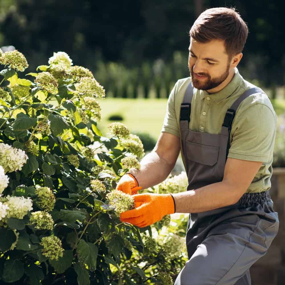 Landscaping Insurance Texas